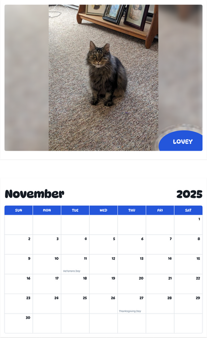 July 2025 - June 2026 Lovey - Pawidols Pet Calendar