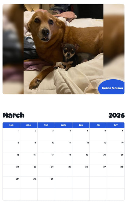 November 2025 - October 2026 Indica & Bisou - Pawidols Pet Calendar