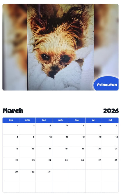 November 2025 - October 2026 Princeton - Pawidols Pet Calendar