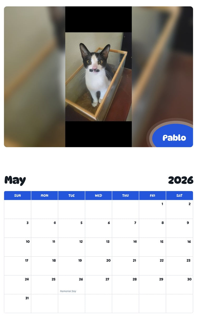 2026 - 2027 Pablo - Pawidols Pet Calendar