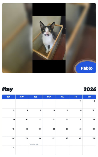 2026 - 2027 Pablo - Pawidols Pet Calendar