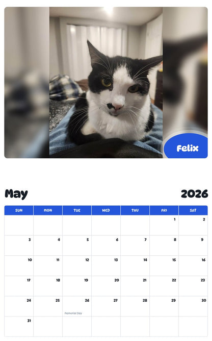 2026 - 2027 Felix - Pawidols Pet Calendar