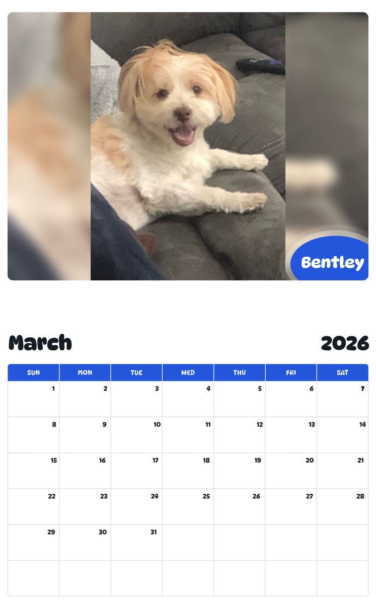 November 2025 - October 2026 Bentley - Pawidols Pet Calendar
