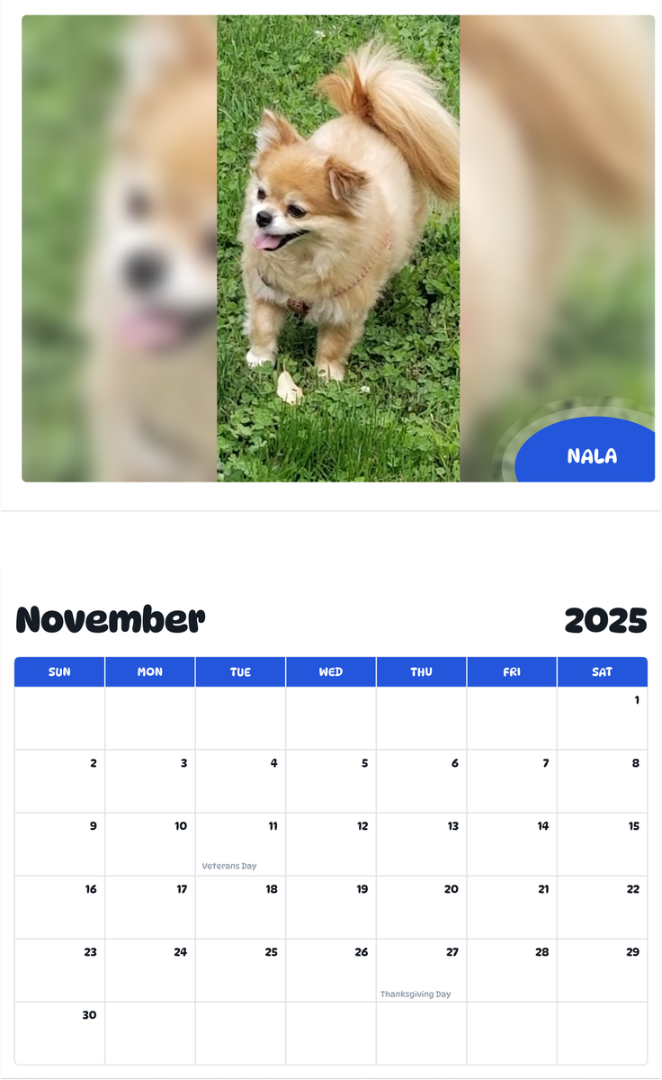 July 2025 - June 2026 Nala - Pawidols Pet Calendar
