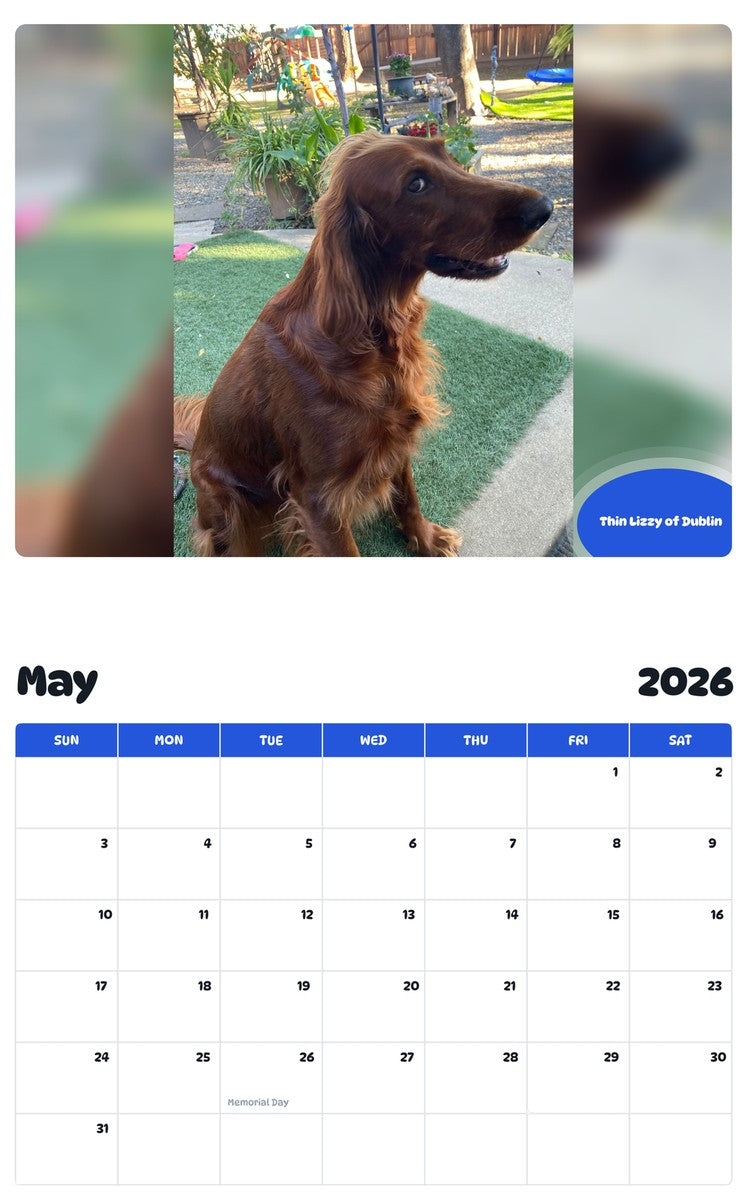 2026 - 2027 Thin Lizzy of Dublin - Pawidols Pet Calendar