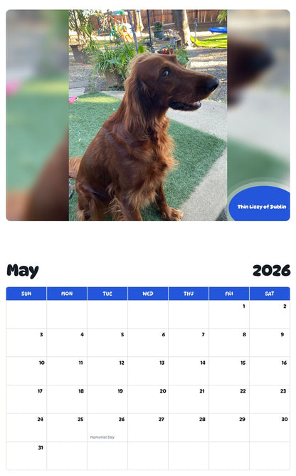 2026 - 2027 Thin Lizzy of Dublin - Pawidols Pet Calendar