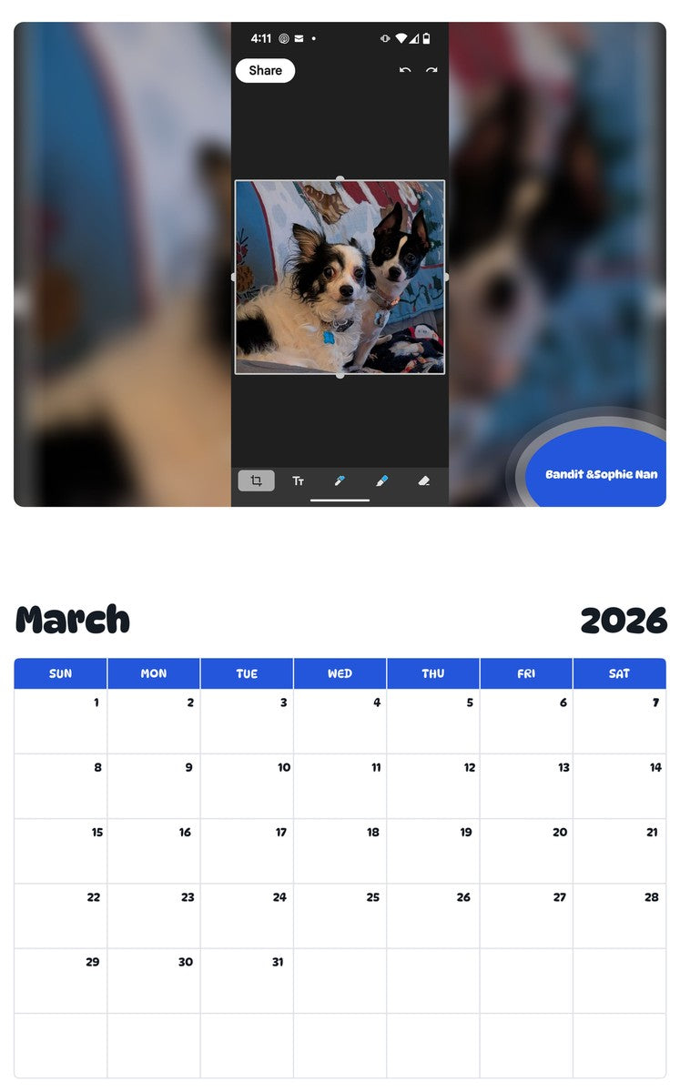November 2025 - October 2026 Bandit &Sophie Nan - Pawidols Pet Calendar