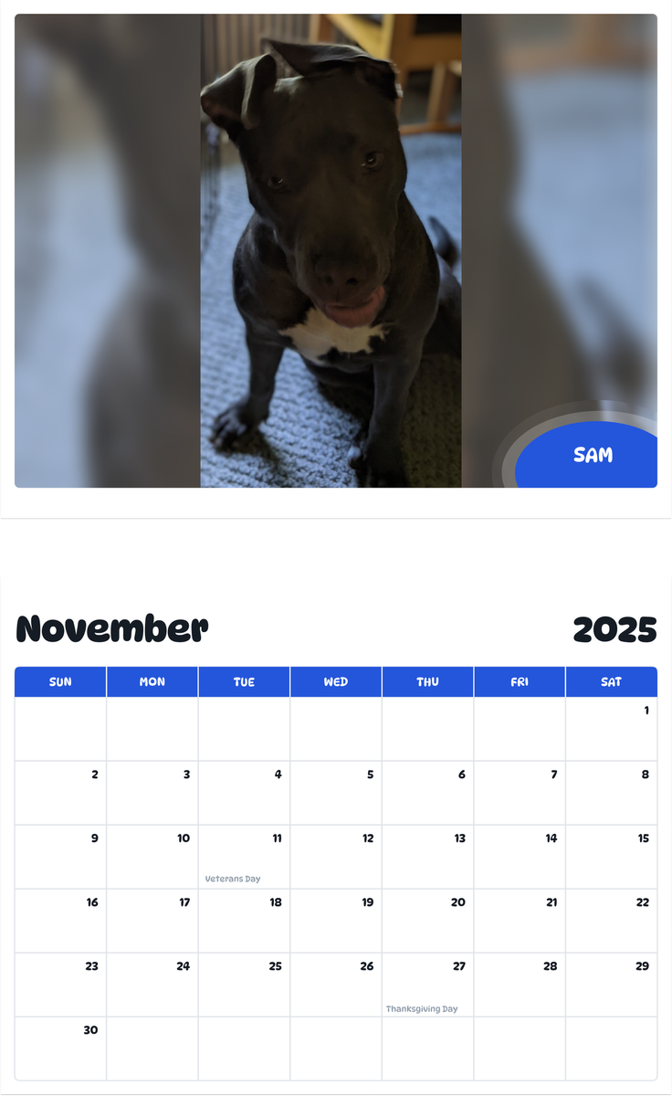 July 2025 - June 2026 Sam - Pawidols Pet Calendar