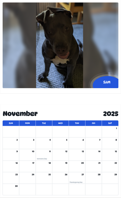 July 2025 - June 2026 Sam - Pawidols Pet Calendar