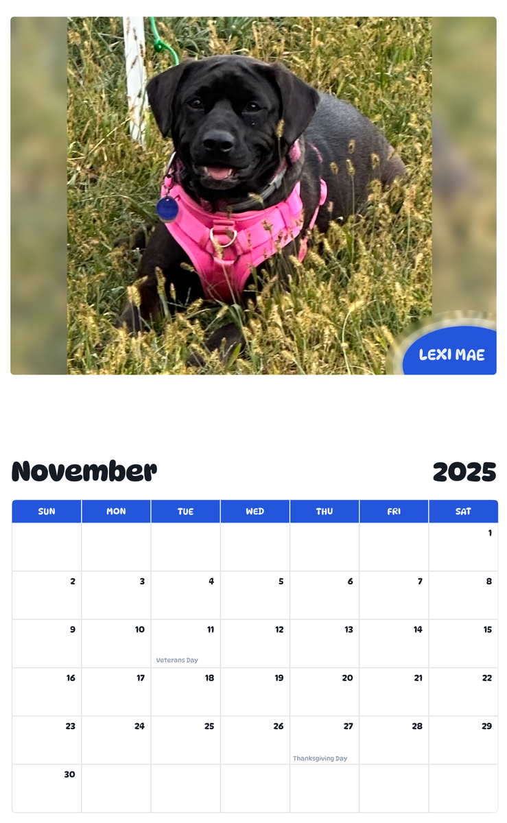 July 2025 - June 2026 Lexi Mae - Pawidols Pet Calendar