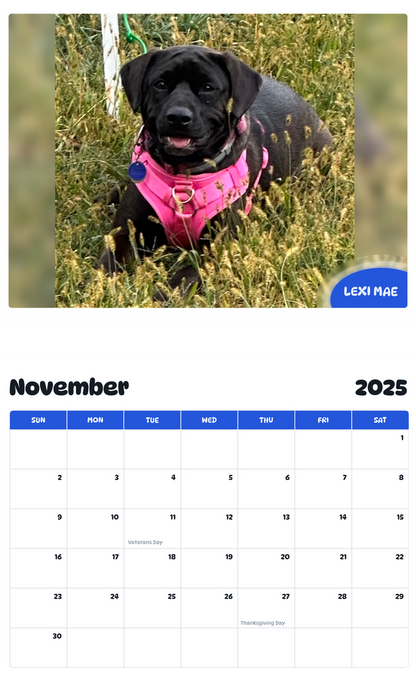 July 2025 - June 2026 Lexi Mae - Pawidols Pet Calendar