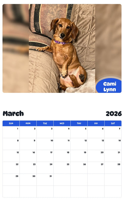 November 2025 - October 2026 Cami Lynn - Pawidols Pet Calendar