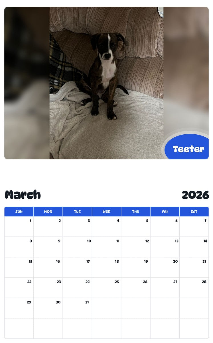 November 2025 - October 2026 Teeter - Pawidols Pet Calendar