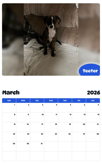 November 2025 - October 2026 Teeter - Pawidols Pet Calendar