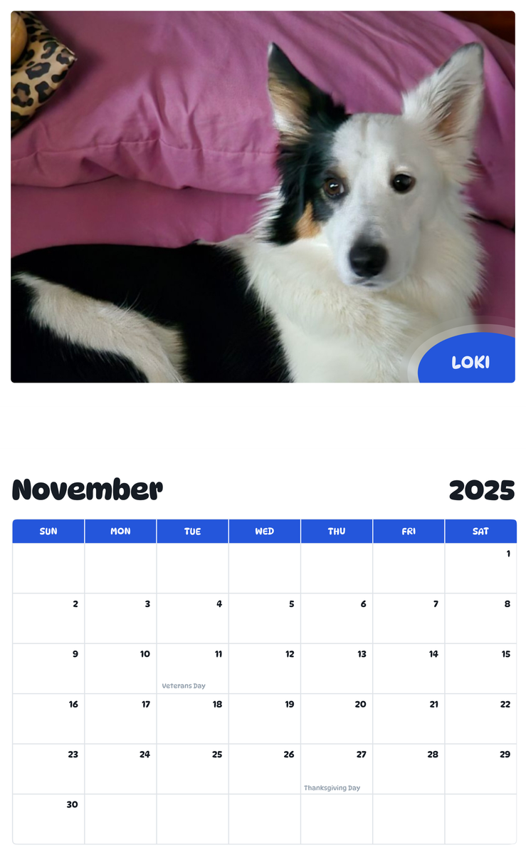July 2025 - June 2026 Loki - Pawidols Pet Calendar