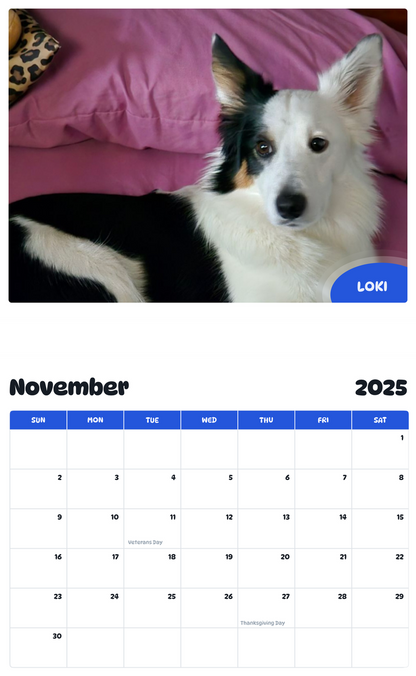 July 2025 - June 2026 Loki - Pawidols Pet Calendar