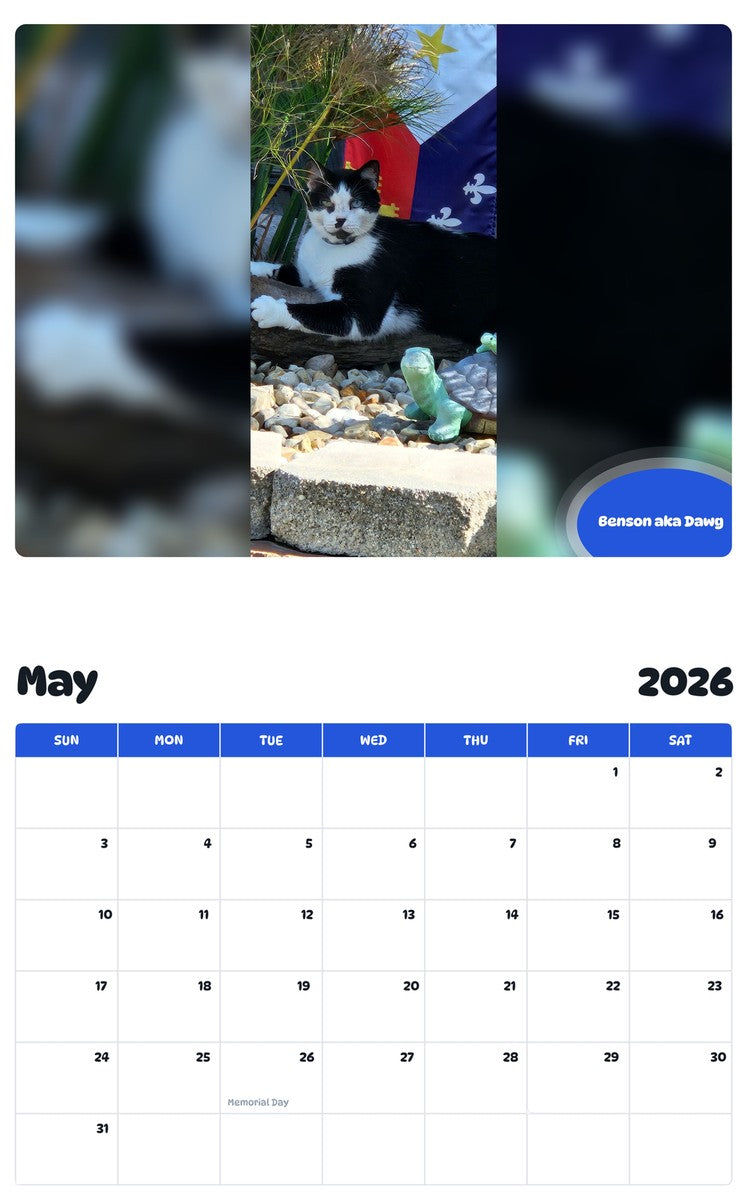 2026 - 2027 Benson aka Dawg - Pawidols Pet Calendar