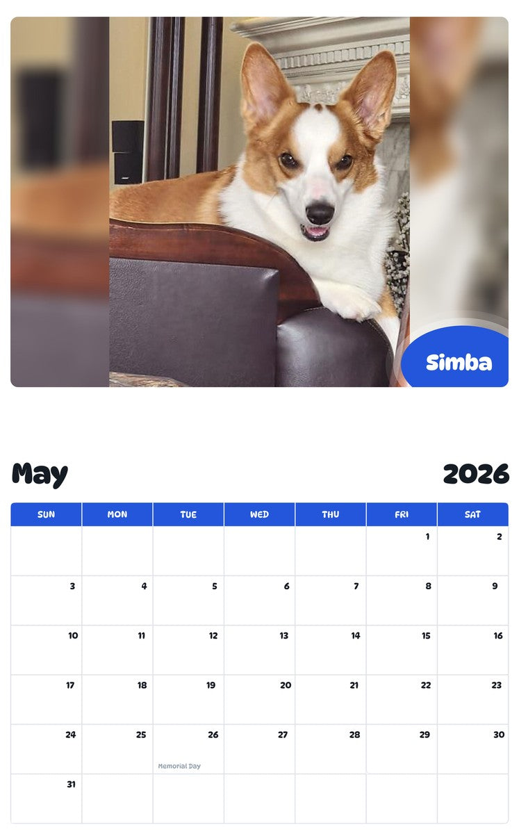 2026 - 2027 Simba - Pawidols Pet Calendar