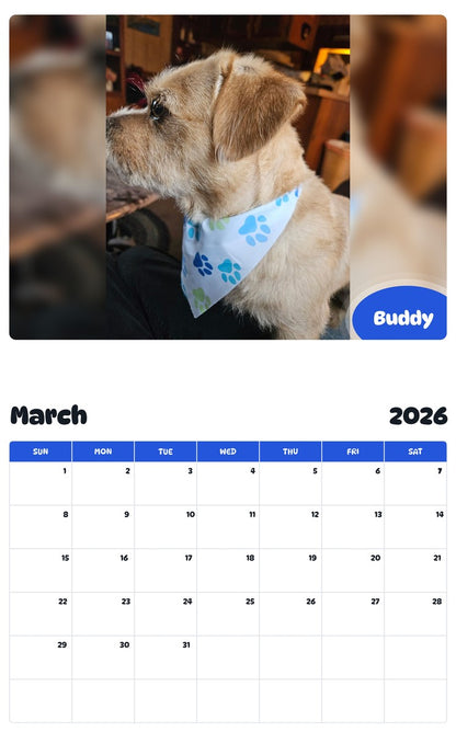 November 2025 - October 2026 Buddy - Pawidols Pet Calendar