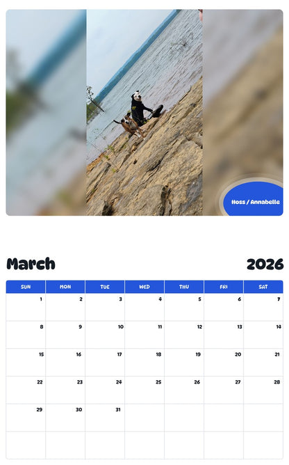 November 2025 - October 2026 Hoss / Annabelle - Pawidols Pet Calendar