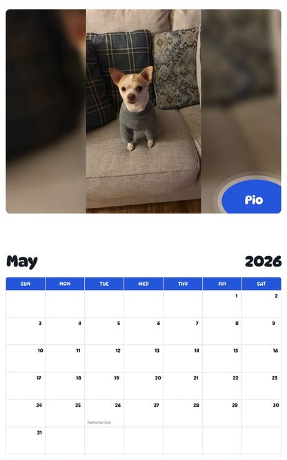 2026 - 2027 Pio - Pawidols Pet Calendar