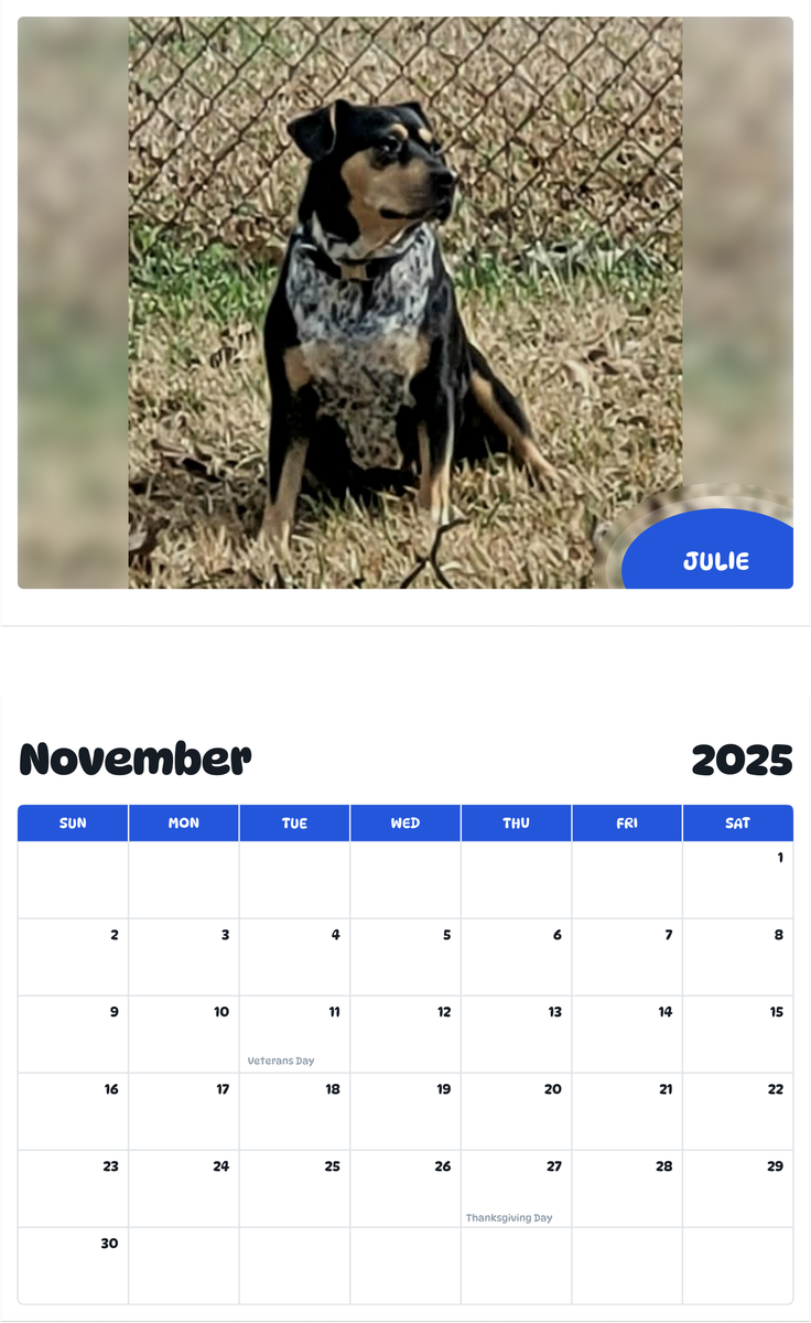 July 2025 - June 2026 Julie - Pawidols Pet Calendar