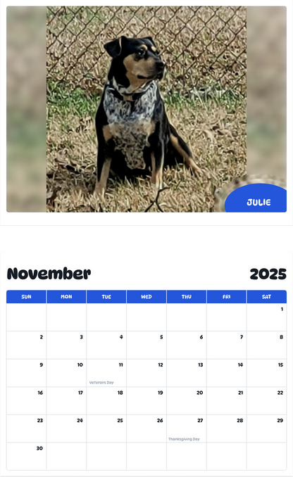 July 2025 - June 2026 Julie - Pawidols Pet Calendar