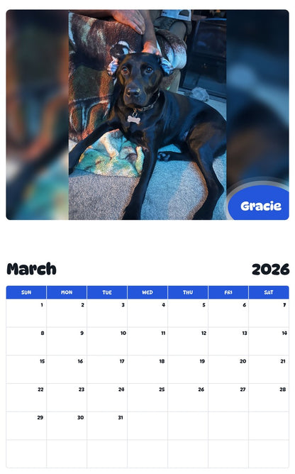 November 2025 - October 2026 Gracie - Pawidols Pet Calendar