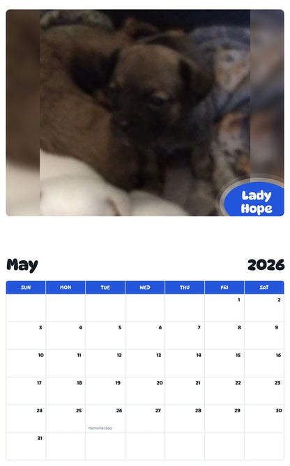 2026 - 2027 Lady Hope - Pawidols Pet Calendar