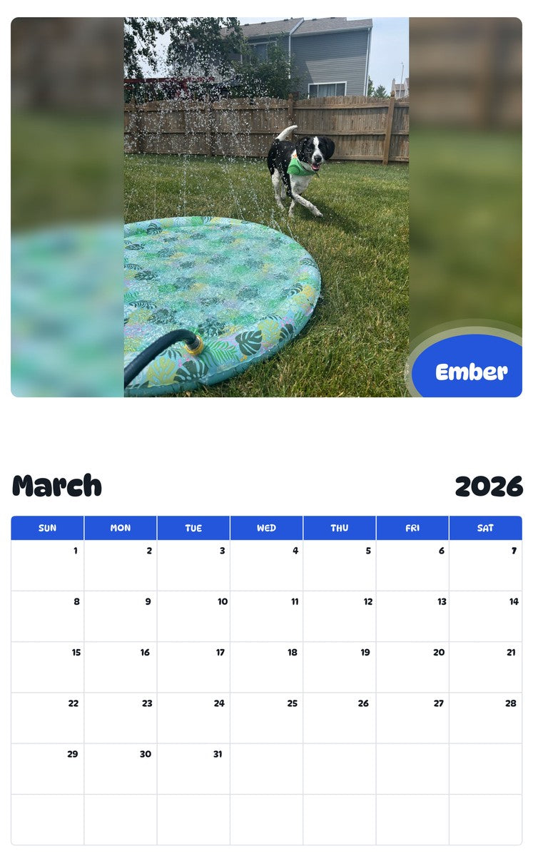 November 2025 - October 2026 Ember - Pawidols Pet Calendar