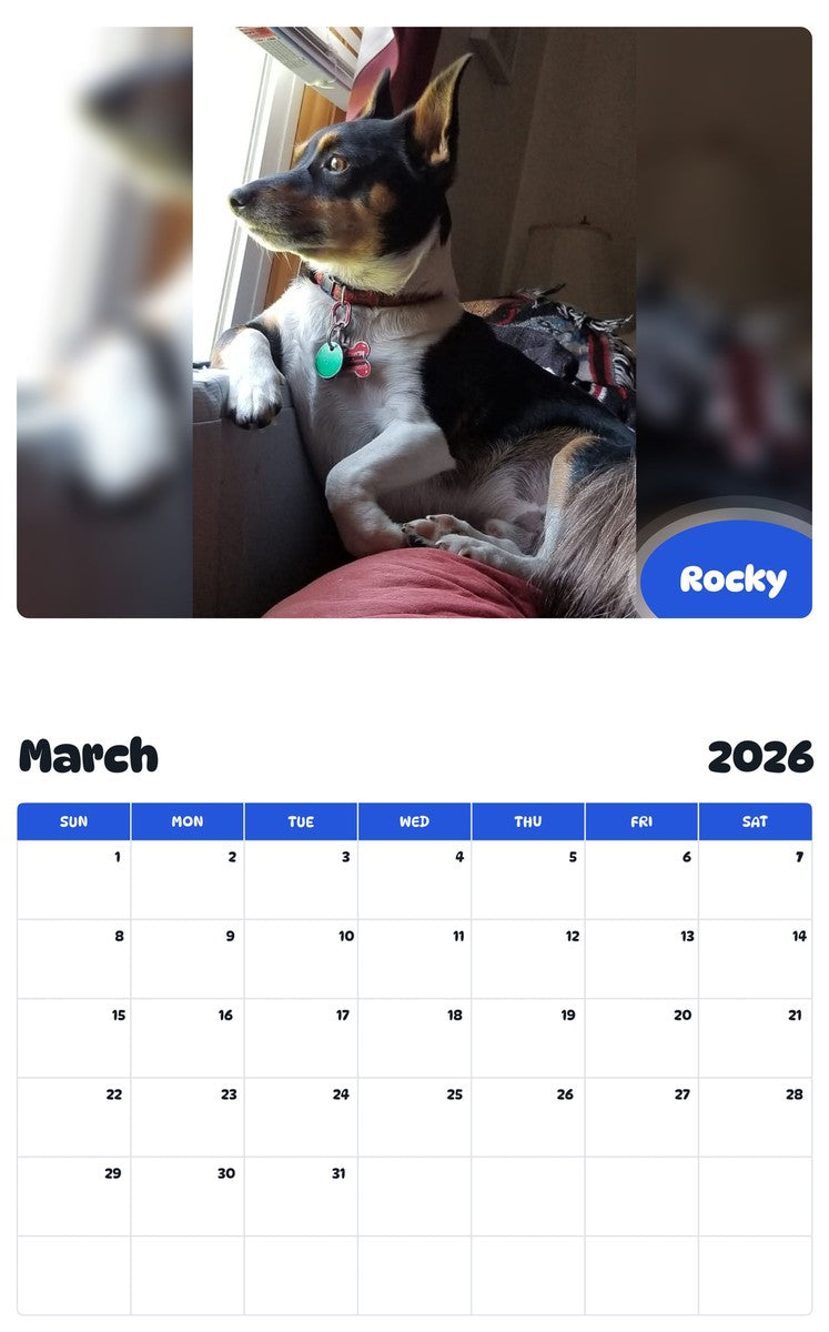 November 2025 - October 2026 Rocky - Pawidols Pet Calendar