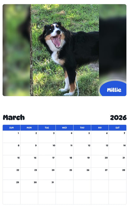 November 2025 - October 2026 Millie - Pawidols Pet Calendar