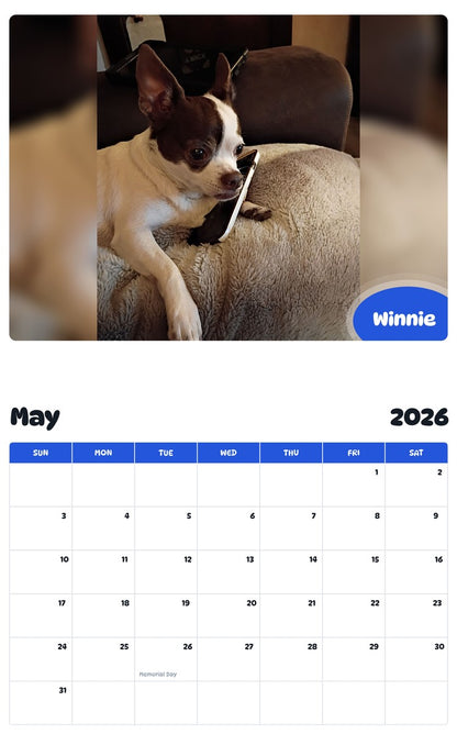 2026 - 2027 Winnie - Pawidols Pet Calendar