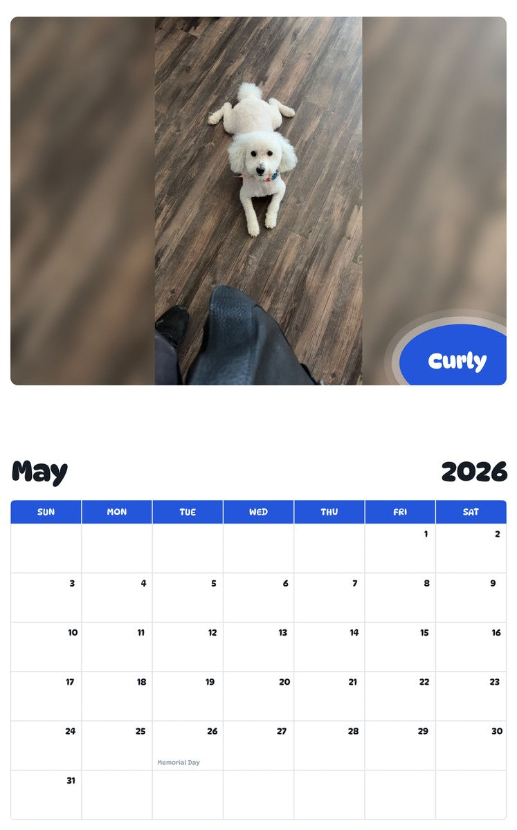 2026 - 2027 Curly - Pawidols Pet Calendar