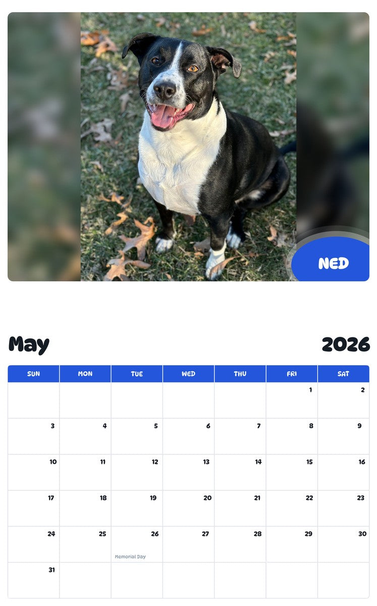 2026 - 2027 NED - Pawidols Pet Calendar