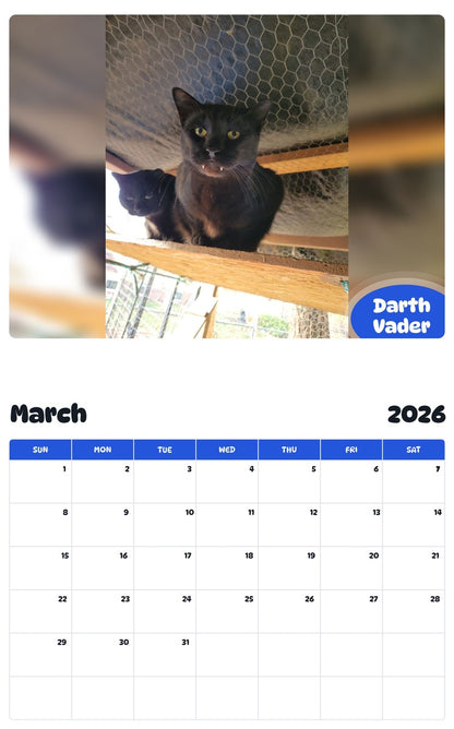 November 2025 - October 2026 Darth Vader - Pawidols Pet Calendar