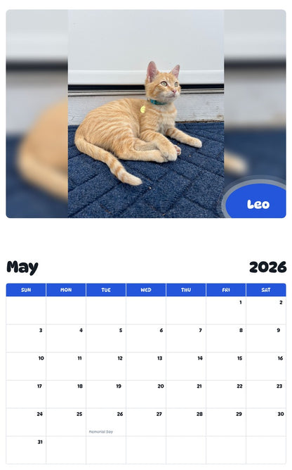2026 - 2027 Leo - Pawidols Pet Calendar