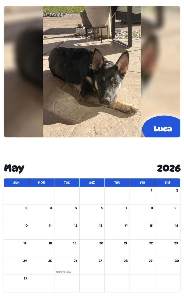 2026 - 2027 Luca - Pawidols Pet Calendar