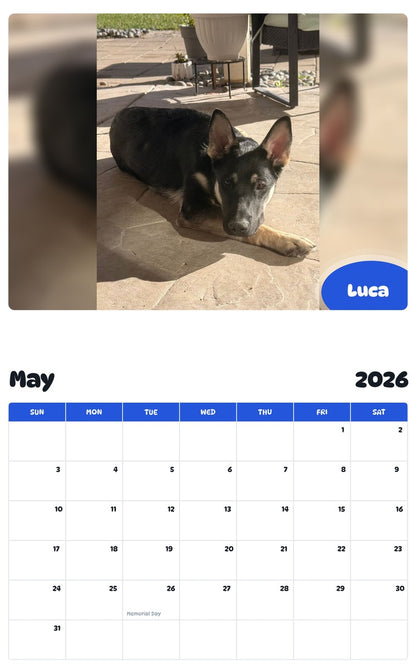 2026 - 2027 Luca - Pawidols Pet Calendar