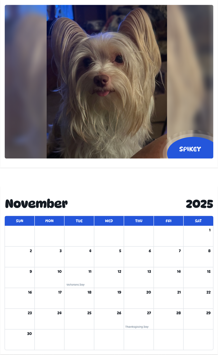 July 2025 - June 2026 Spikey - Pawidols Pet Calendar