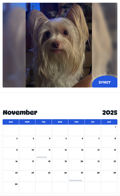 July 2025 - June 2026 Spikey - Pawidols Pet Calendar