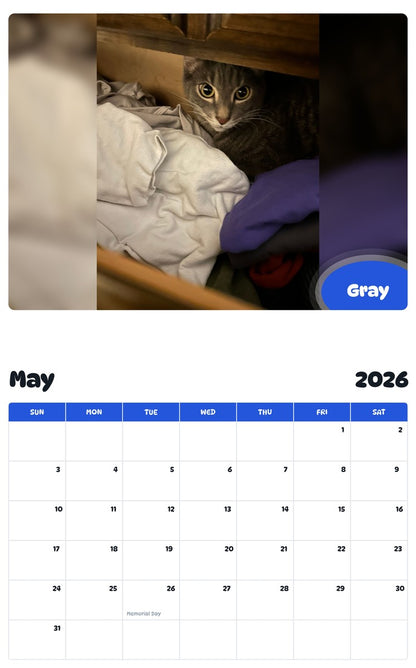 2026 - 2027 Gray - Pawidols Pet Calendar