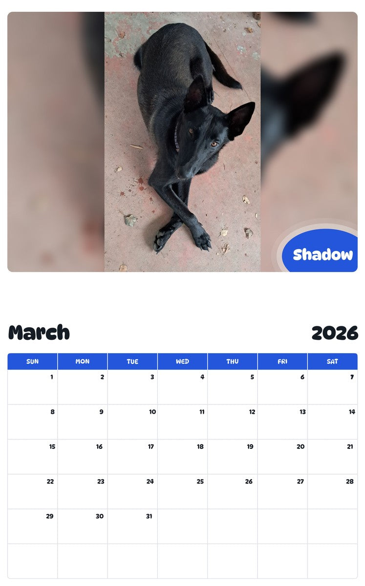 November 2025 - October 2026 Shadow - Pawidols Pet Calendar