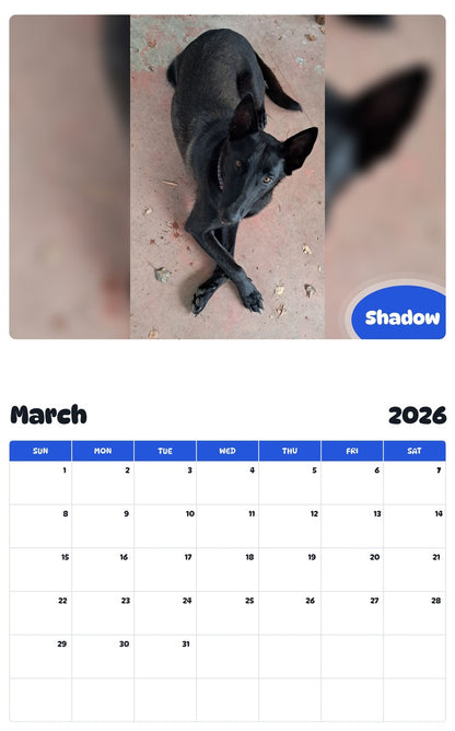 November 2025 - October 2026 Shadow - Pawidols Pet Calendar
