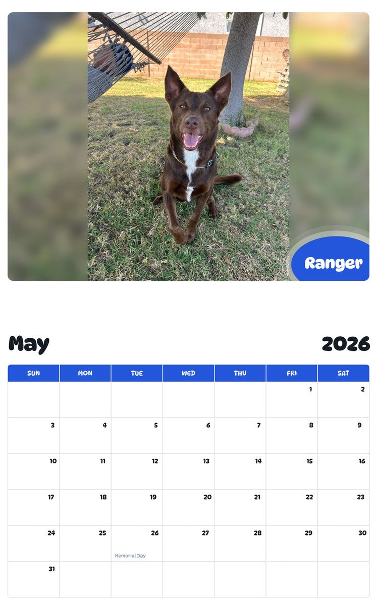 2026 - 2027 Ranger - Pawidols Pet Calendar