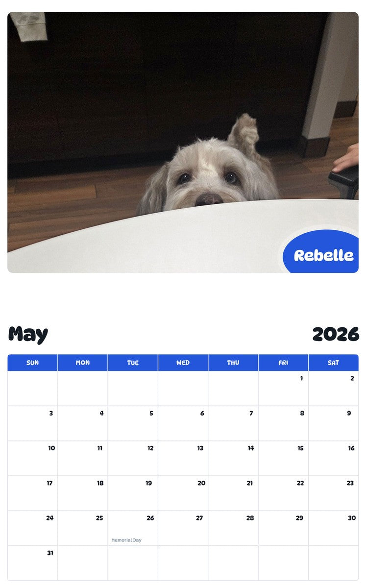 2026 - 2027 Rebelle - Pawidols Pet Calendar