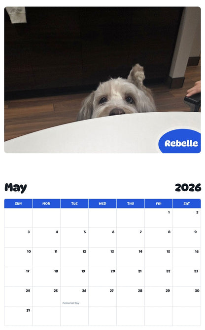 2026 - 2027 Rebelle - Pawidols Pet Calendar
