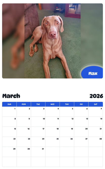 November 2025 - October 2026 Max - Pawidols Pet Calendar