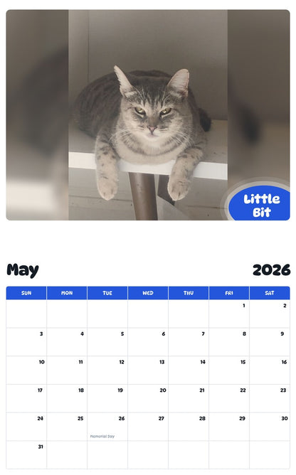 2026 - 2027 Little Bit - Pawidols Pet Calendar