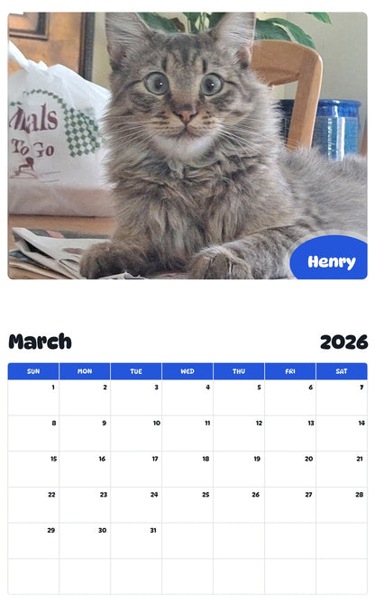 November 2025 - October 2026 Henry - Pawidols Pet Calendar